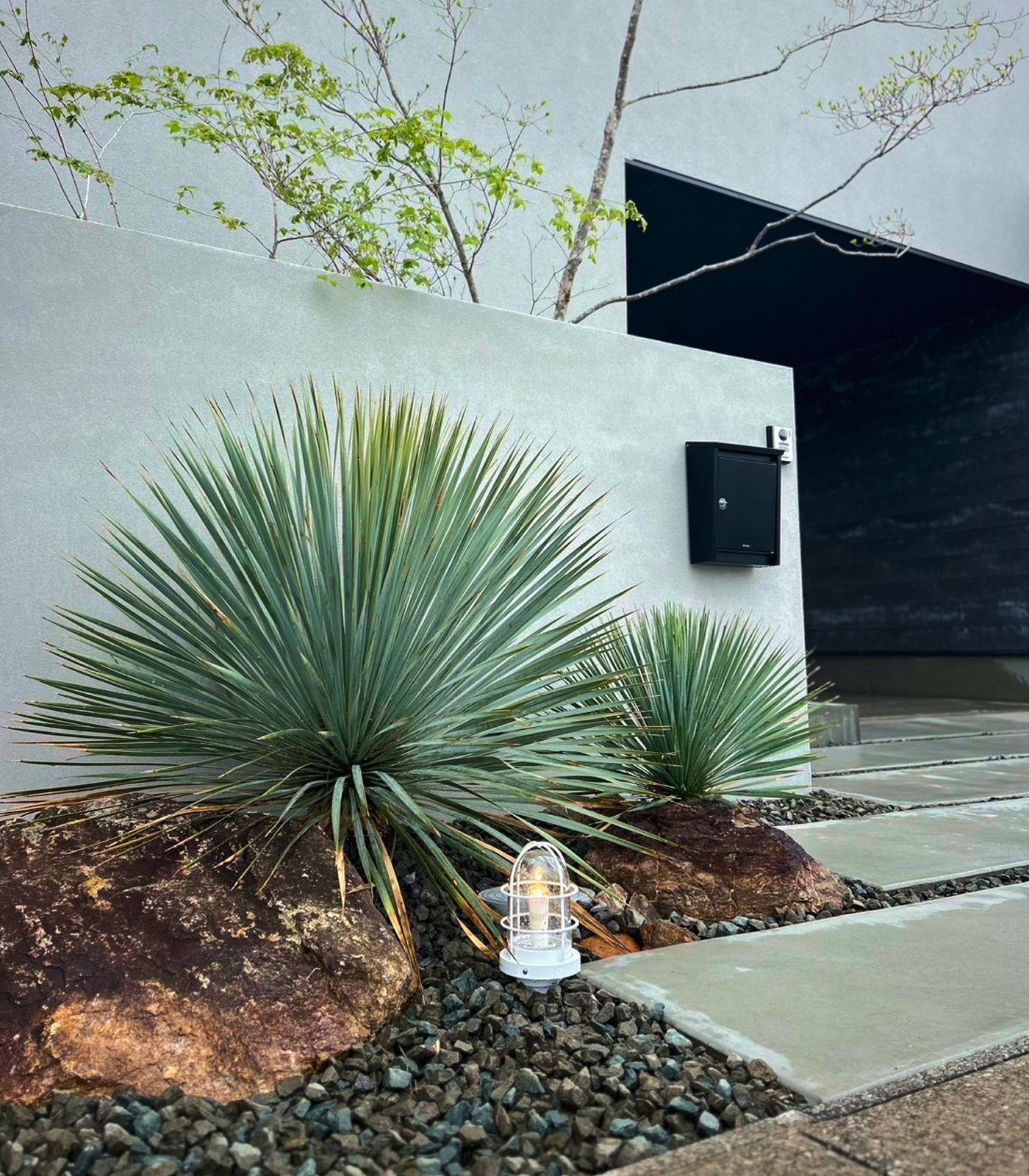 プランティングデザイン